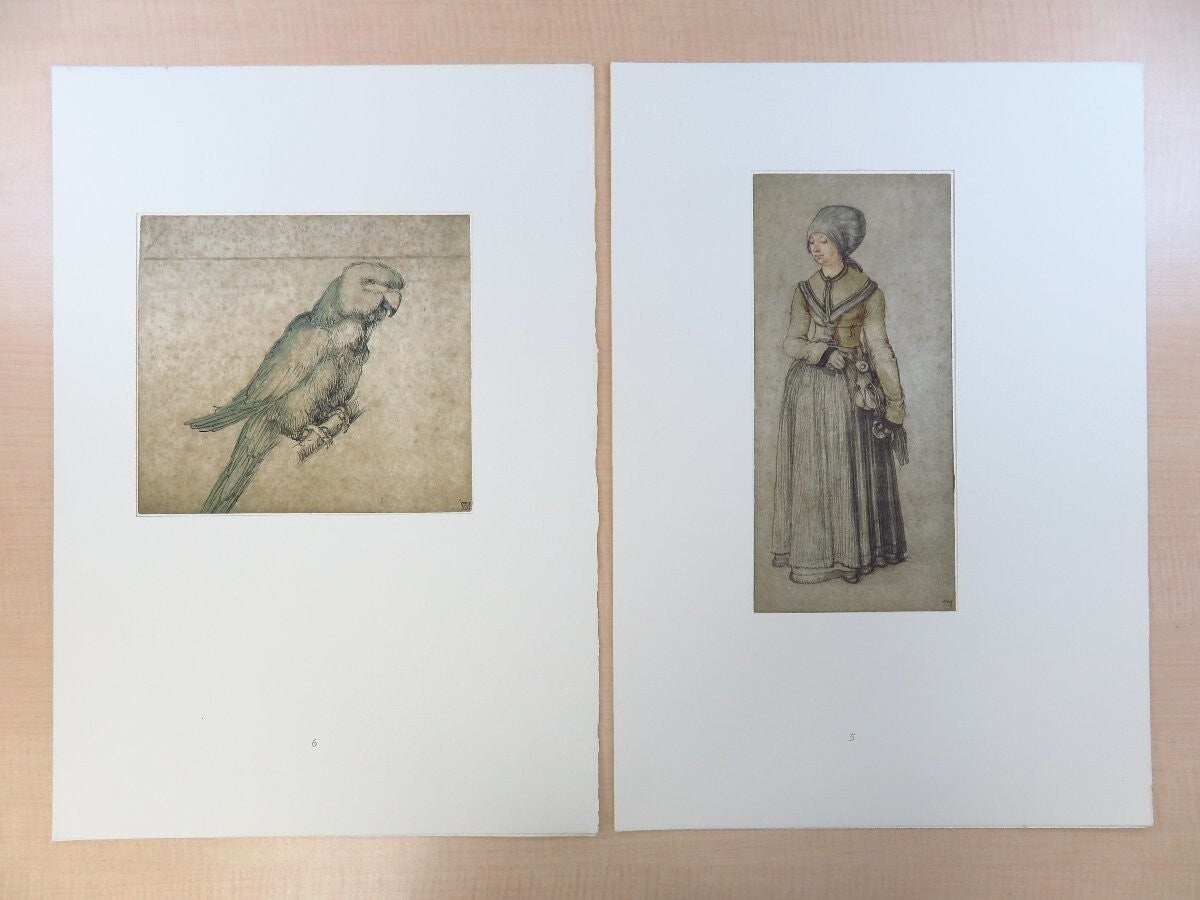 Dodici Acquarelli E Disegni Di Alberto Durer -