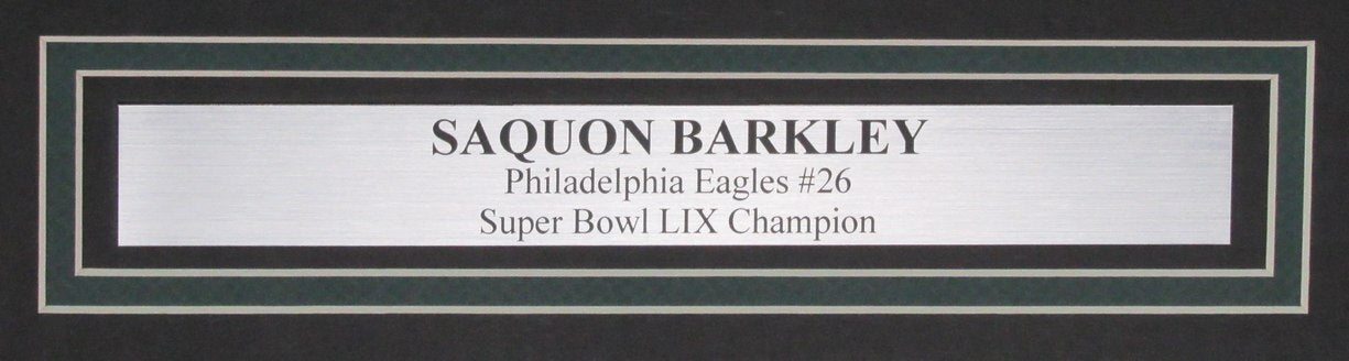 Saquon Barkley Signed/Auto 16X20 Photo