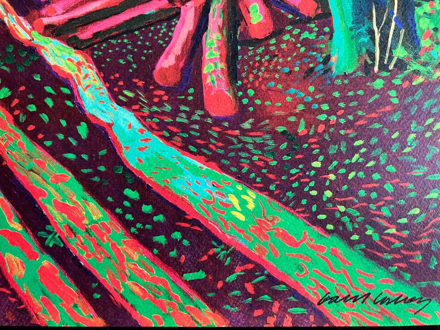 David Hockney Lithograph Coa Signed Op Numbered A Hand Limited &