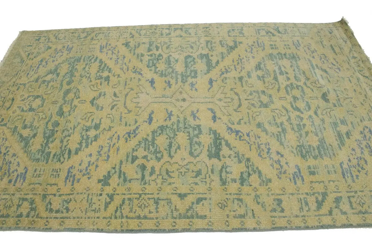 Muted Colors Transitional Floral Oriental Rug