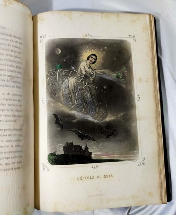 1849 J.J. Grandville Les Toiles 1St Edition Rare Hand-Colored Plates Leather
