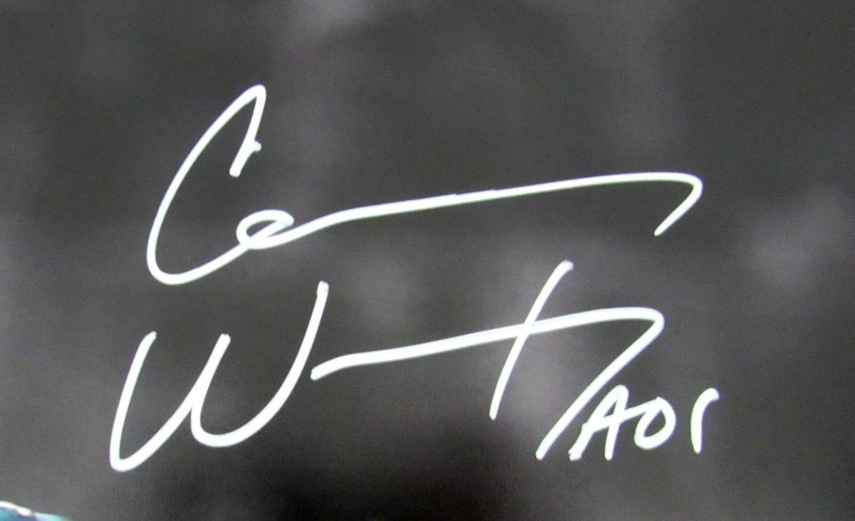 Carson Wentz Philadelphia Eagles Autographed/Signed 16X20 Photo Fanatics 135213