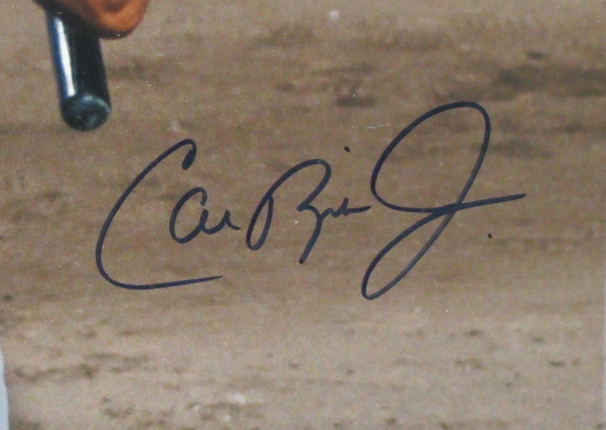 Cal Ripken Jr. Hof Signed/Auto 16X20 Photo