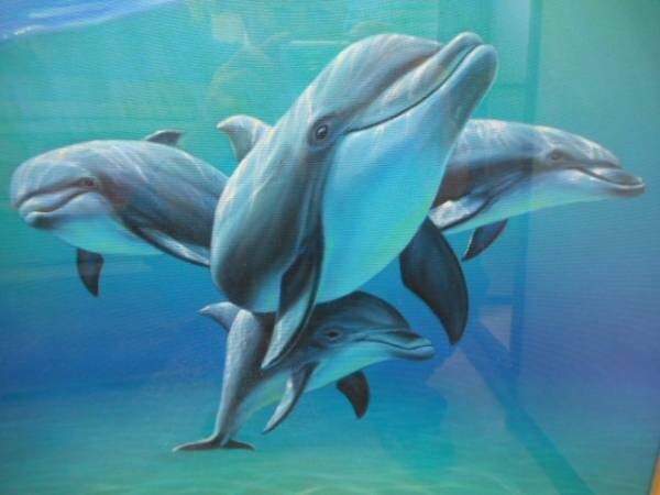 Charles Lynn Bragg - Dolphin Unique Original Acrylic Painting Signed Well Framed