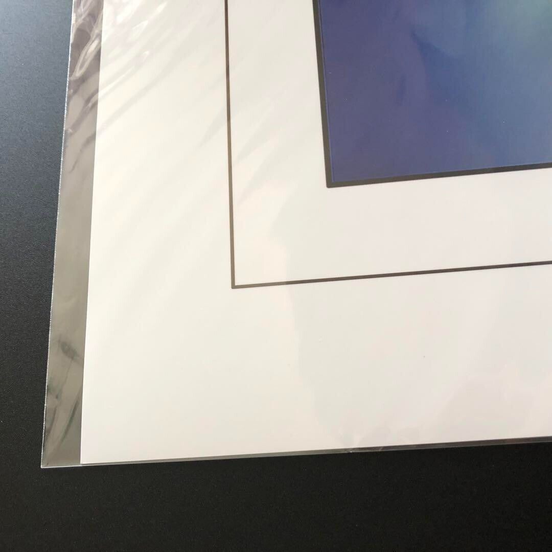 Birds Of Paradise Mtg Mark Poole Magic The Gathering Art Print