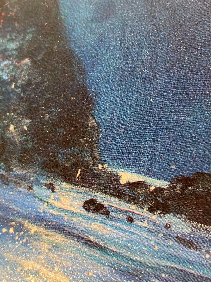 James Coleman Night Paradise 1997 Original Giclee On Canvas Print Signed Framed