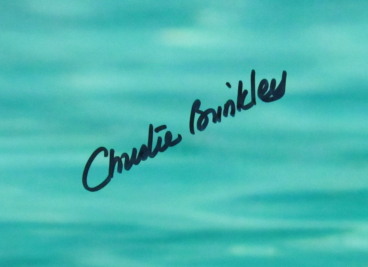 Christie Brinkley Vacation Pool Scene