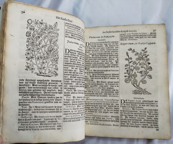 Petrus Nylandt De Nederlandtse Herbarius Kruydt-Boeck 1682 Dutch Herbal With Woo