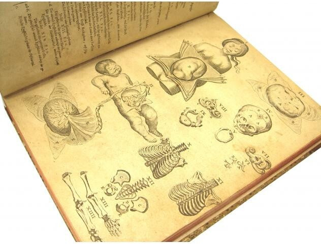 Syntagma Anatomicum Rare 17Th Medical Anatomy