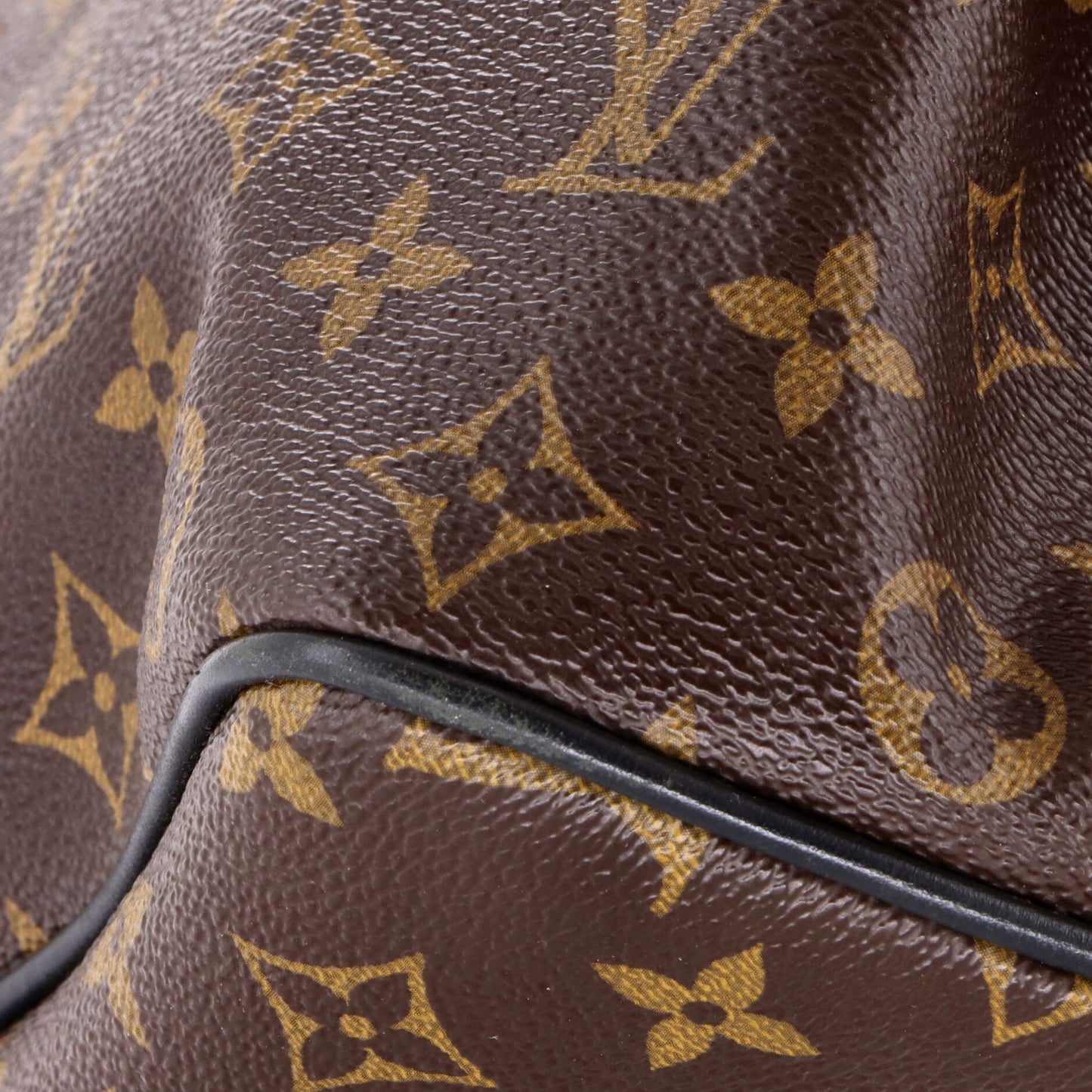 Louis Vuitton Palk Backpack Macassar Monogram Canvas