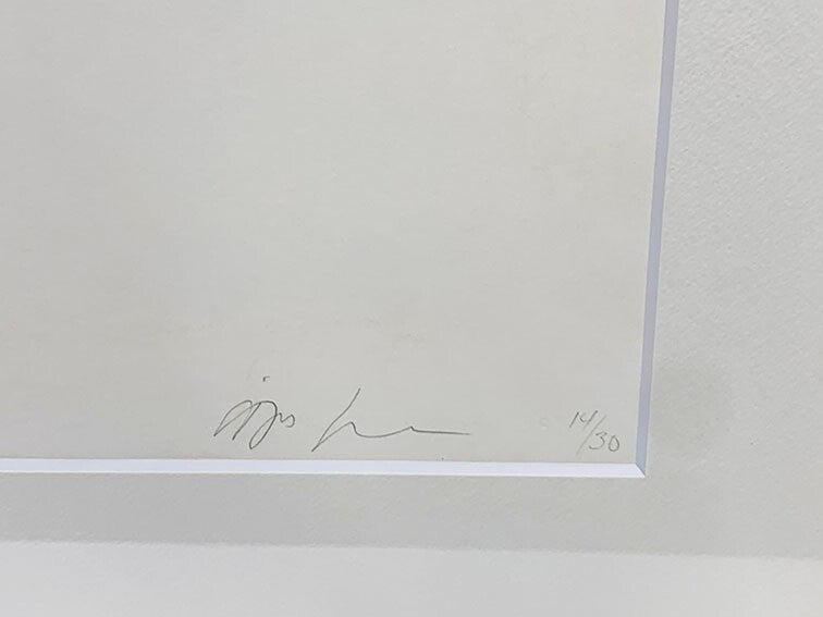 9 Anish Kapoor Original Etching Pencil Signed Numbered Framed ED30 Jacob Samuel