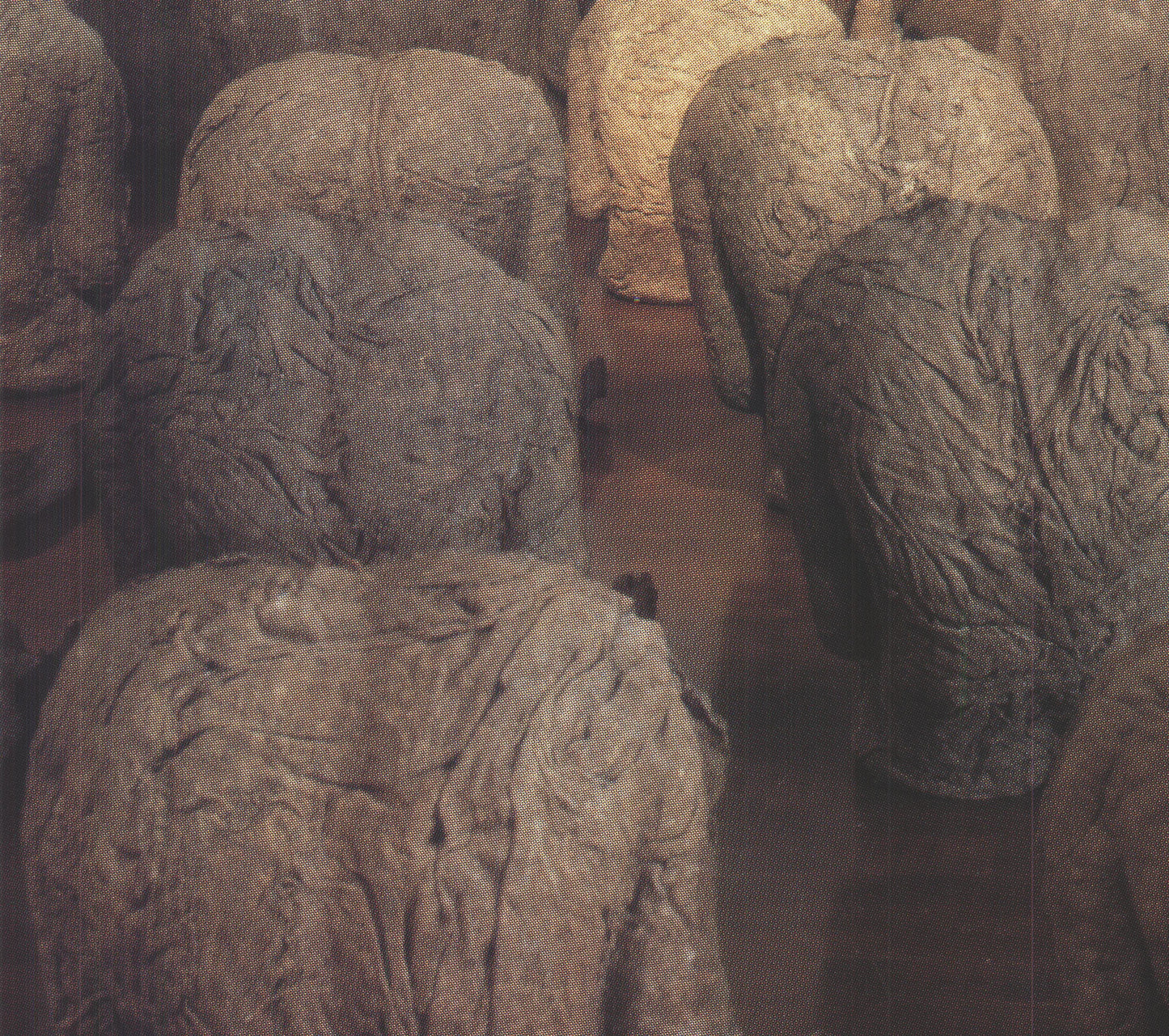 Magdalena Abakanowicz Works From The Collection Of The National Museum Wroclaw-P