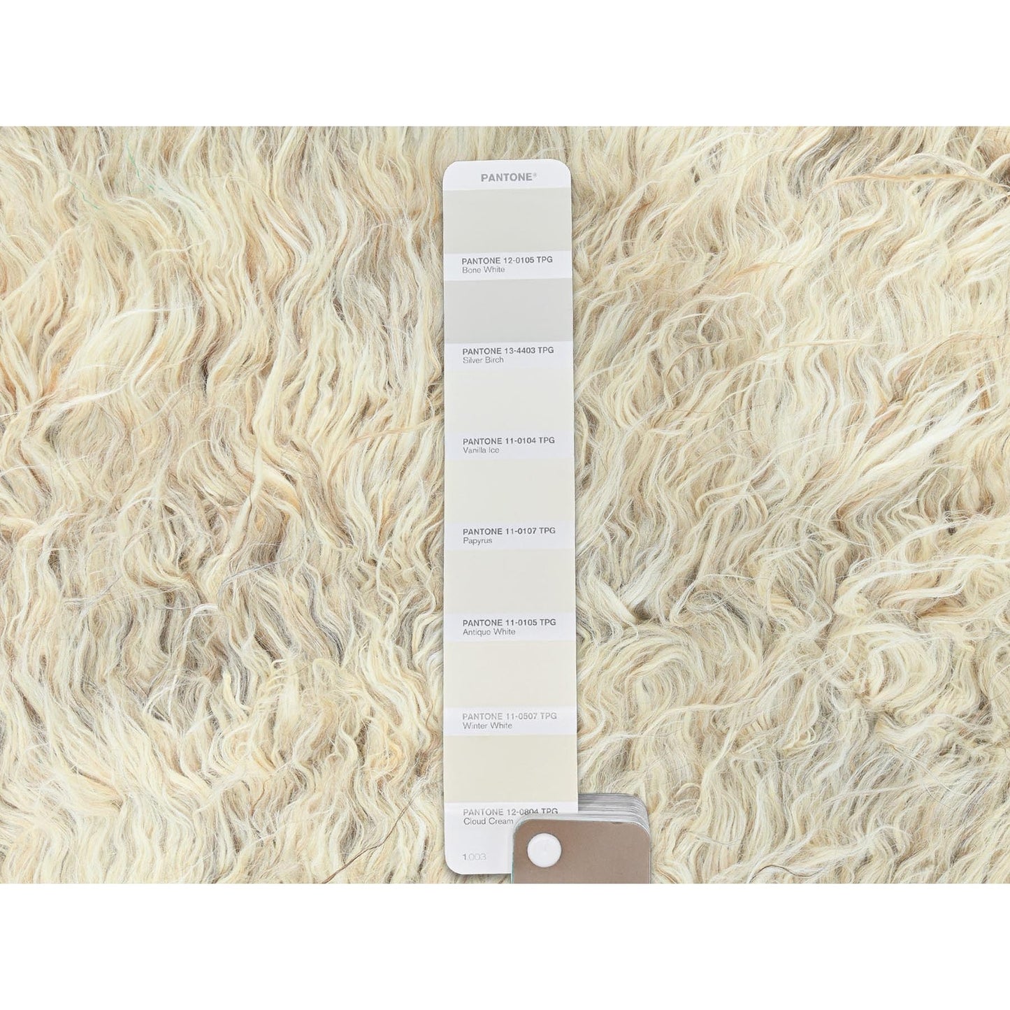 3'1"X5'3" Beige Shaggy Moroccan Undyed Natural Wool Hand Knotted Rug