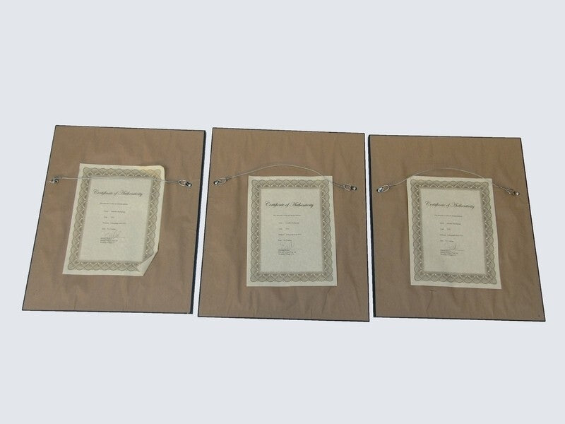 Amedeo Modigliani 1933 Original Lithograph Set Of 3 Woman Portrait Framed Coa