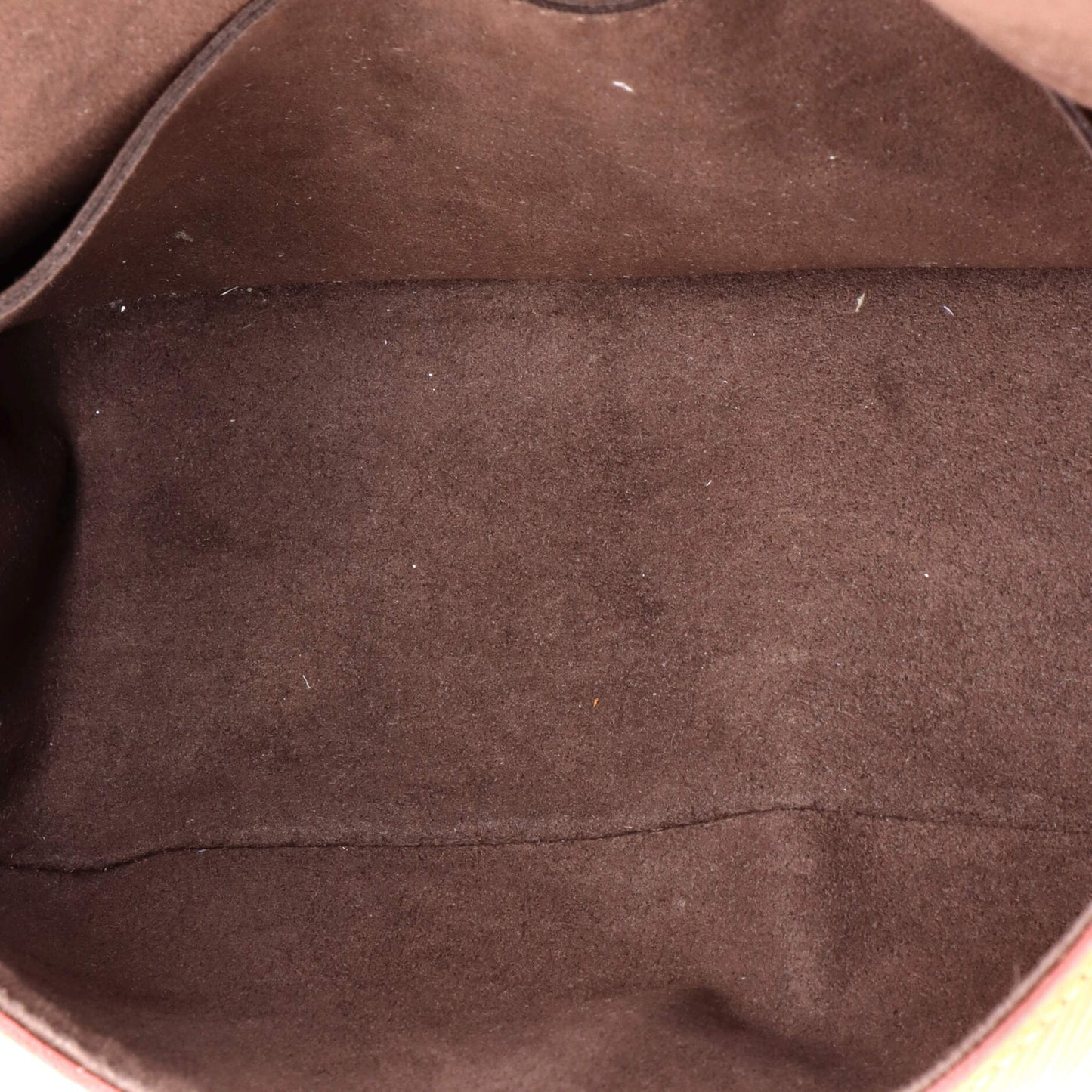 Louis Vuitton Buci Crossbody Bag Epi Leather