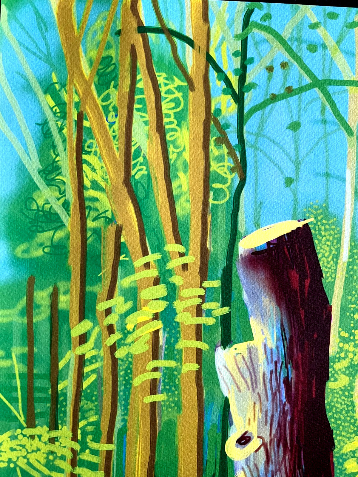 David Hockney Lithograph Coa Signed Op Numbered A