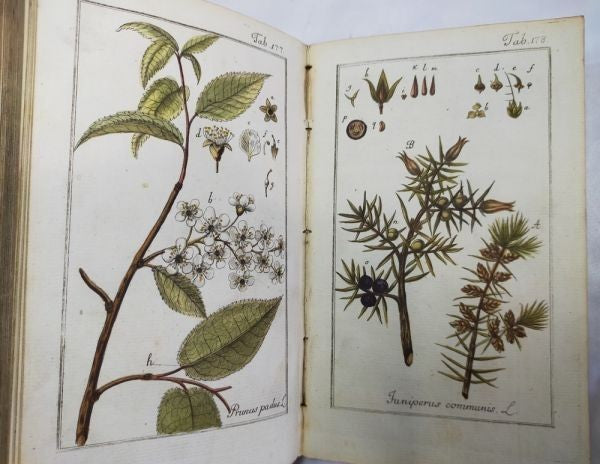 Johannes Zorn Icones Plantarum Medicinalium Vol Ii 1784 2Nd Ed Hand-Colored