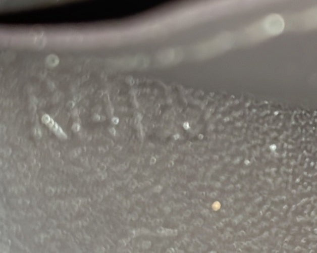 Louis Vuitton Brazza Wallet Nomade Leather