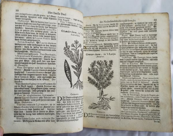 Petrus Nylandt De Nederlandtse Herbarius Kruydt-Boeck 1682 Dutch Herbal With Woo
