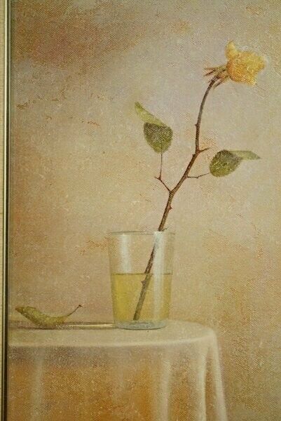 Tomasa Martin (Spain) Still Life Original Oil
