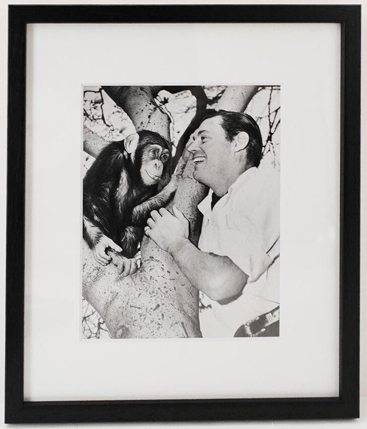 Acme Newspicture Johnny Weissmuller Vintage Press