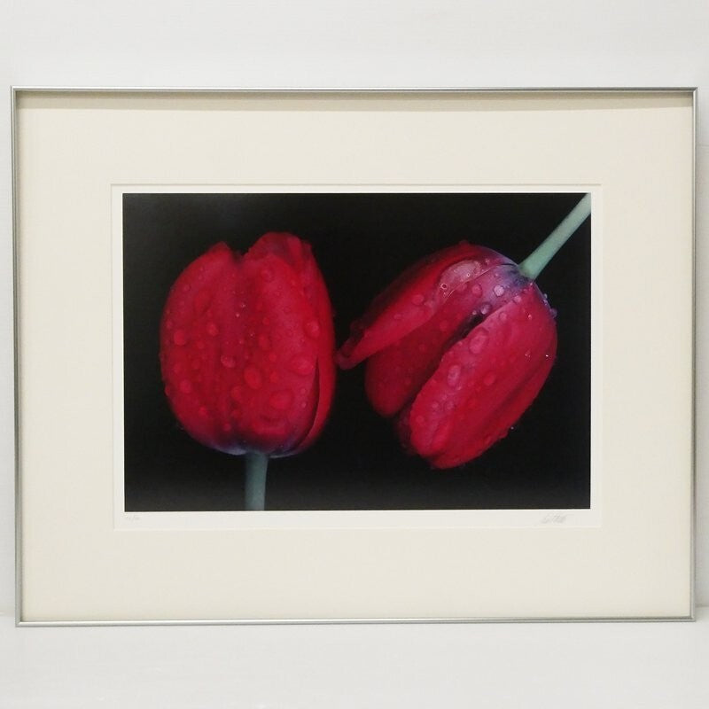 Ernst Haas Dye-Transfer Print "Flowers I (Red Tulips 1984)" Signed Limited Ed30