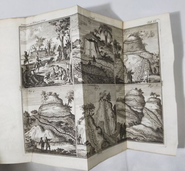 1719-1730 Kabinet Der Natuurlijke Historien Willem Van Ranouw 1St Edition 6 Vols