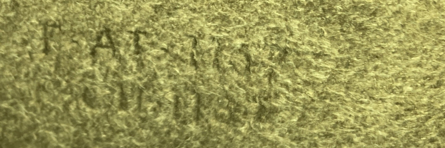 Celine Bicolor Luggage Bag Leather Micro