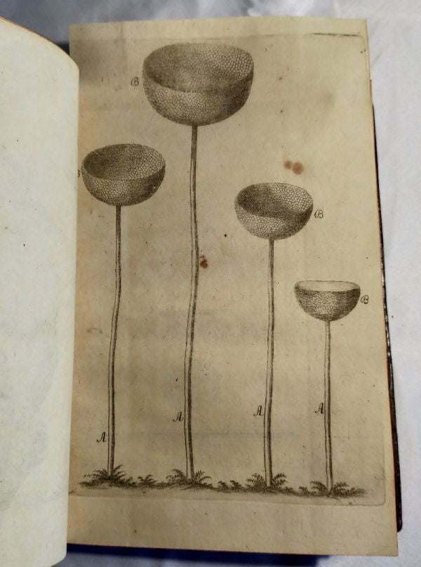 1751/1755 Acta Helvetica Vol.1-2 Basel Scientific Journal Bernoulli Engravings