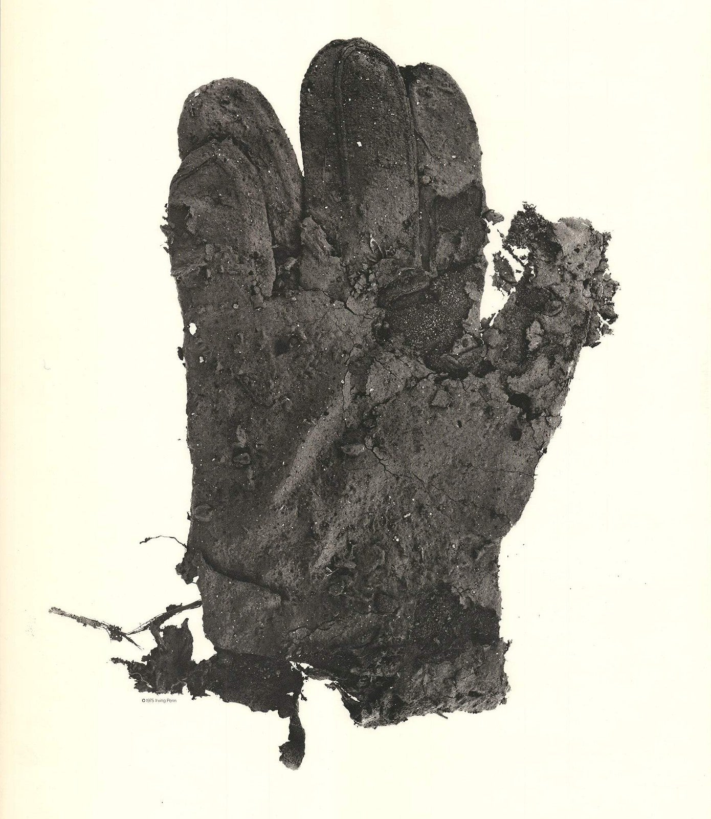 Irving Penn Street Material " Offset Lithograph