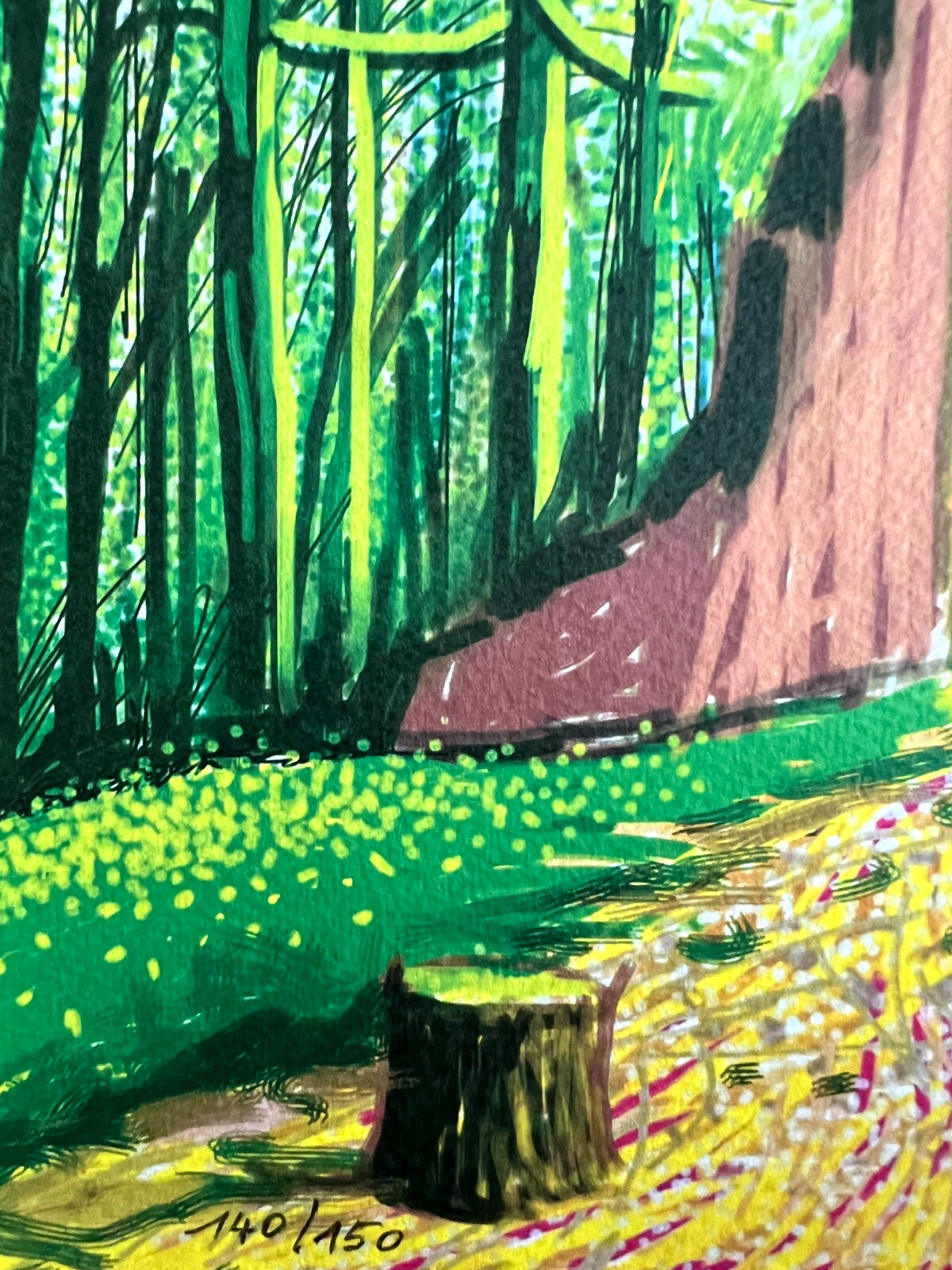 David Hockney Lithograph Coa Signed Op Numbered
