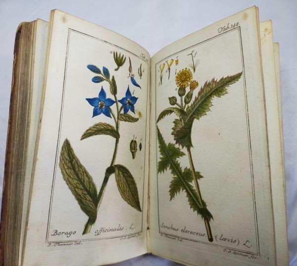 Johannes Zorn Icones Plantarum Medicinalium Vol Ii 1784 2Nd Ed Hand-Colored