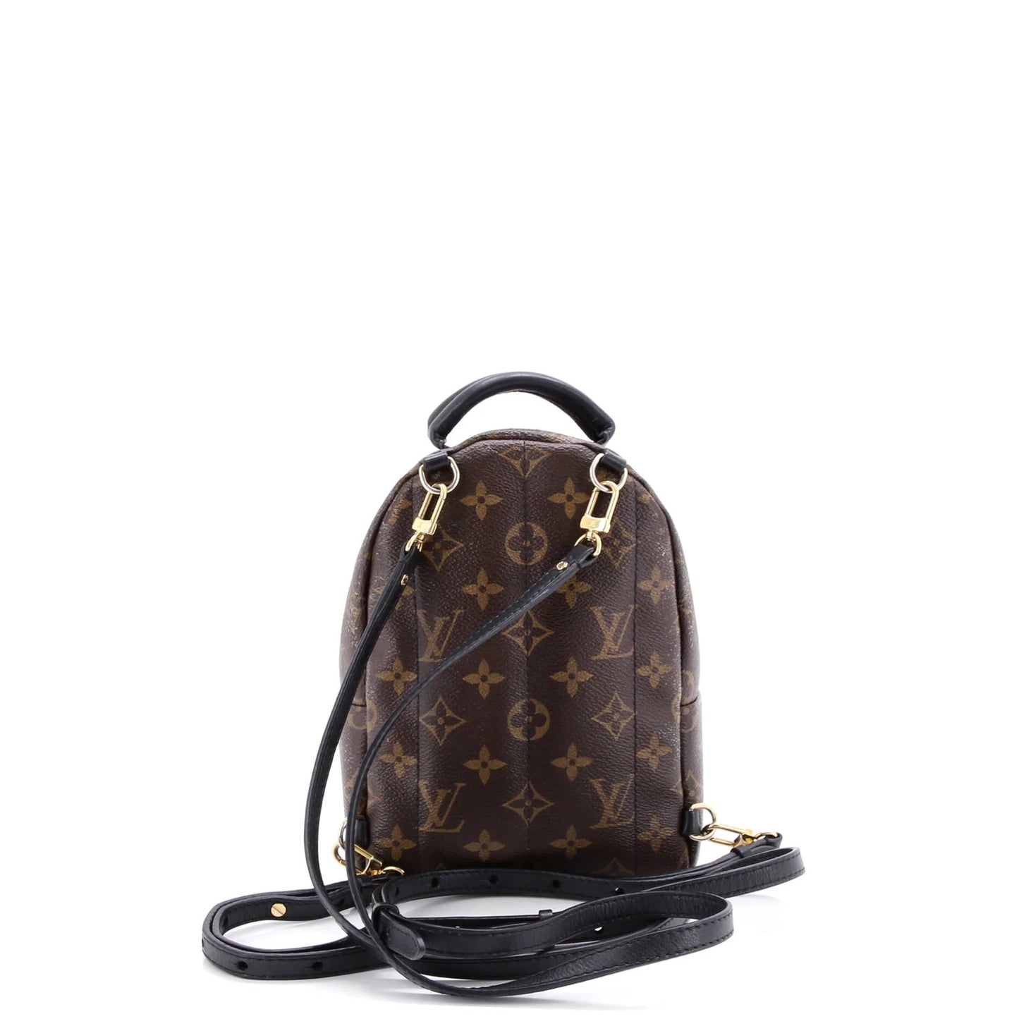 Louis Vuitton Palm Springs Backpack Monogram Canvas Mini
