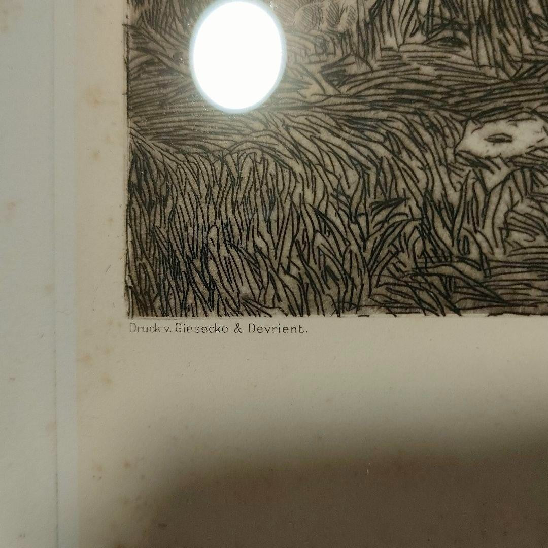 Bruno Hroux Vae Solis No.4 Original Etching Nude