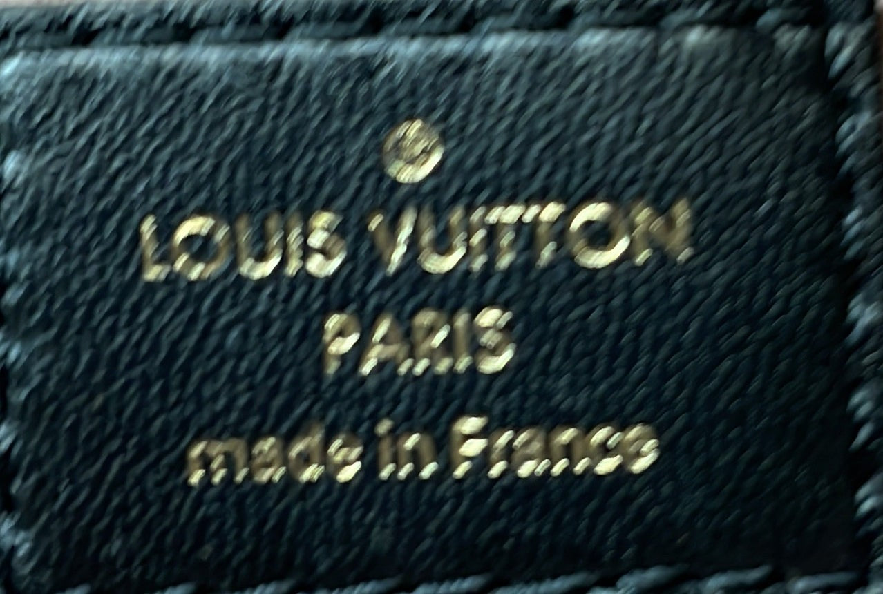 Louis Vuitton Coussin Bag Monogram Embossed Lambskin Pm