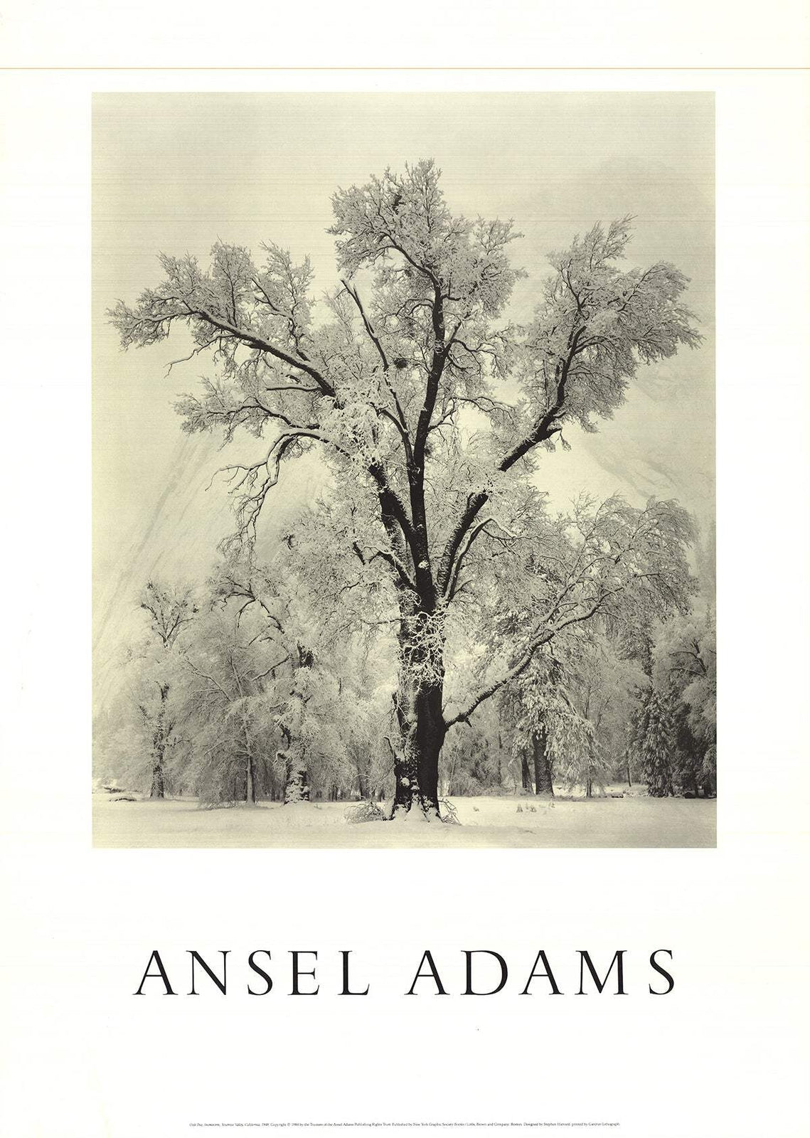 Ansel Adams Oak Tree Snowstorm Yosemite Valley California " Poster