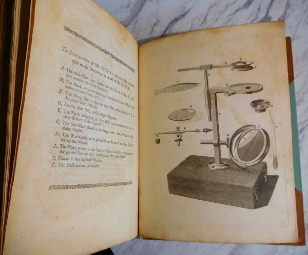 1755 John Ellis An Essay Towards A Natural