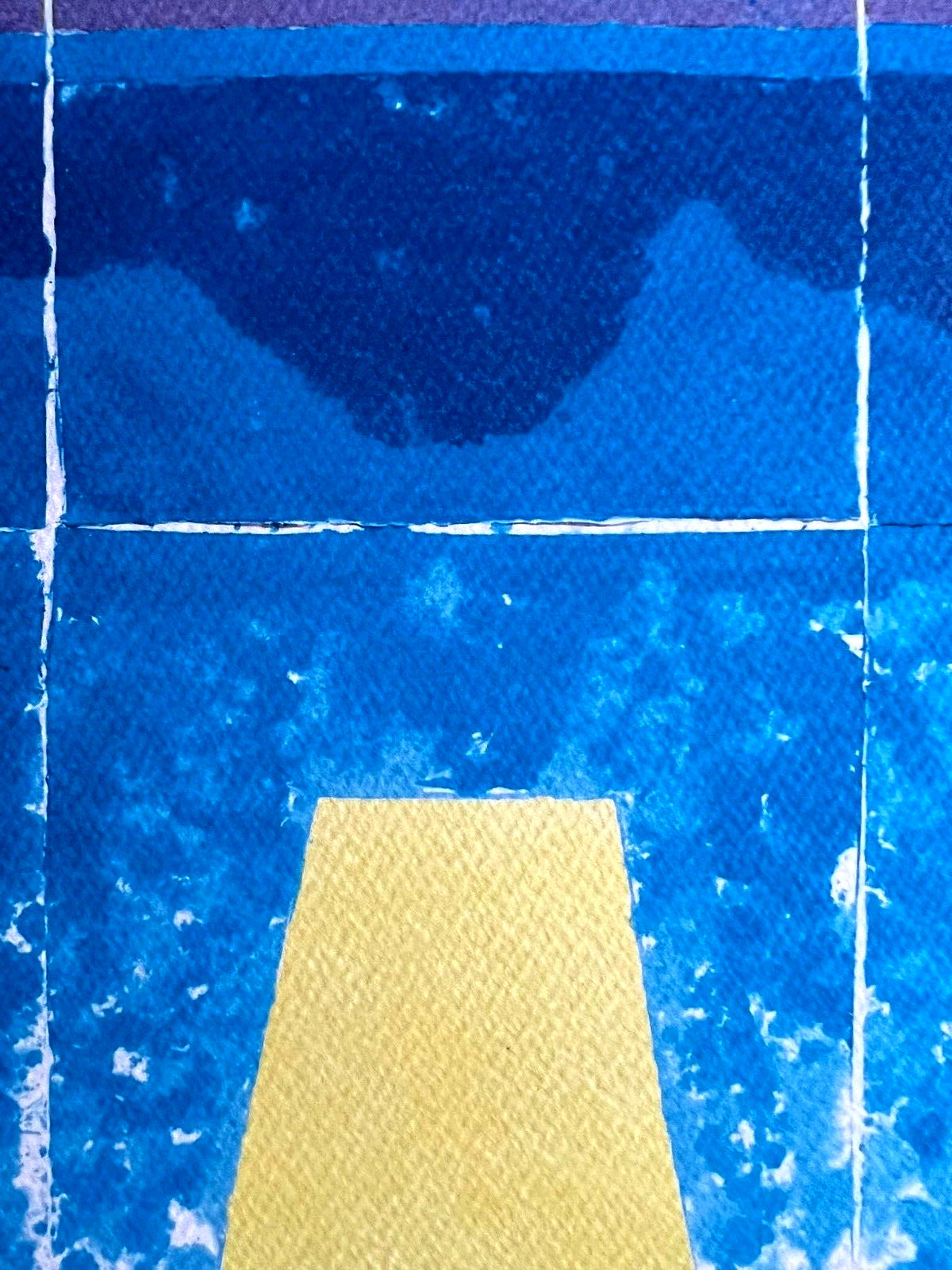 David Hockney Lithograph Coa Original Signed
