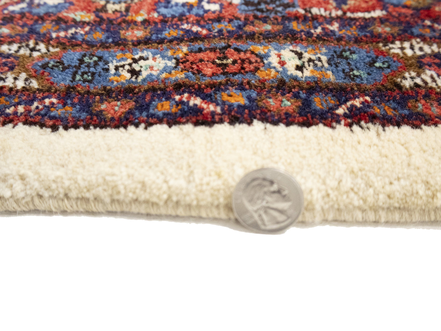Vintage Oriental Rug Traditional Classic Floral