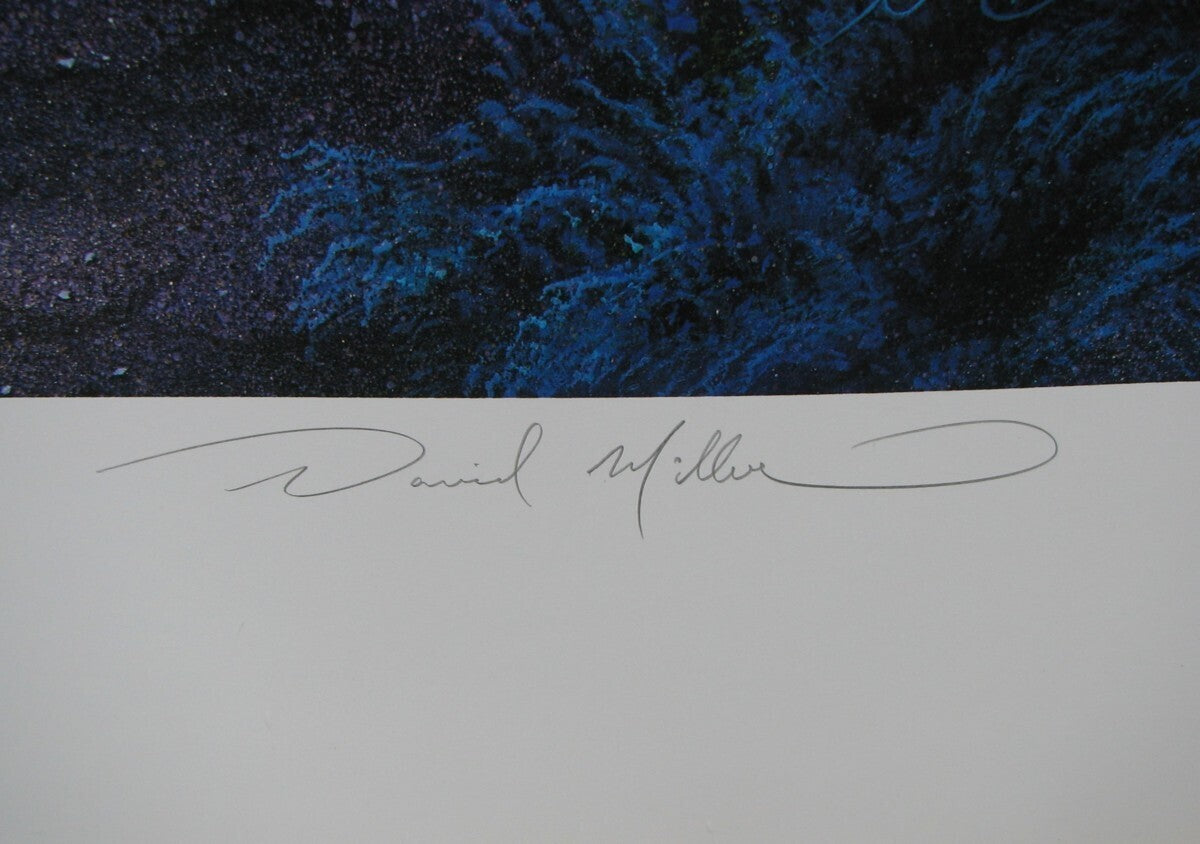 David Christopher Miller - 'Cathy'S View' Signed Limited Mixed Media Print