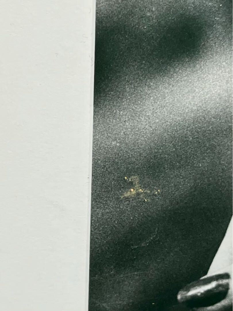 Wang Wanyu - Limited Edition "Untitled" (2007)