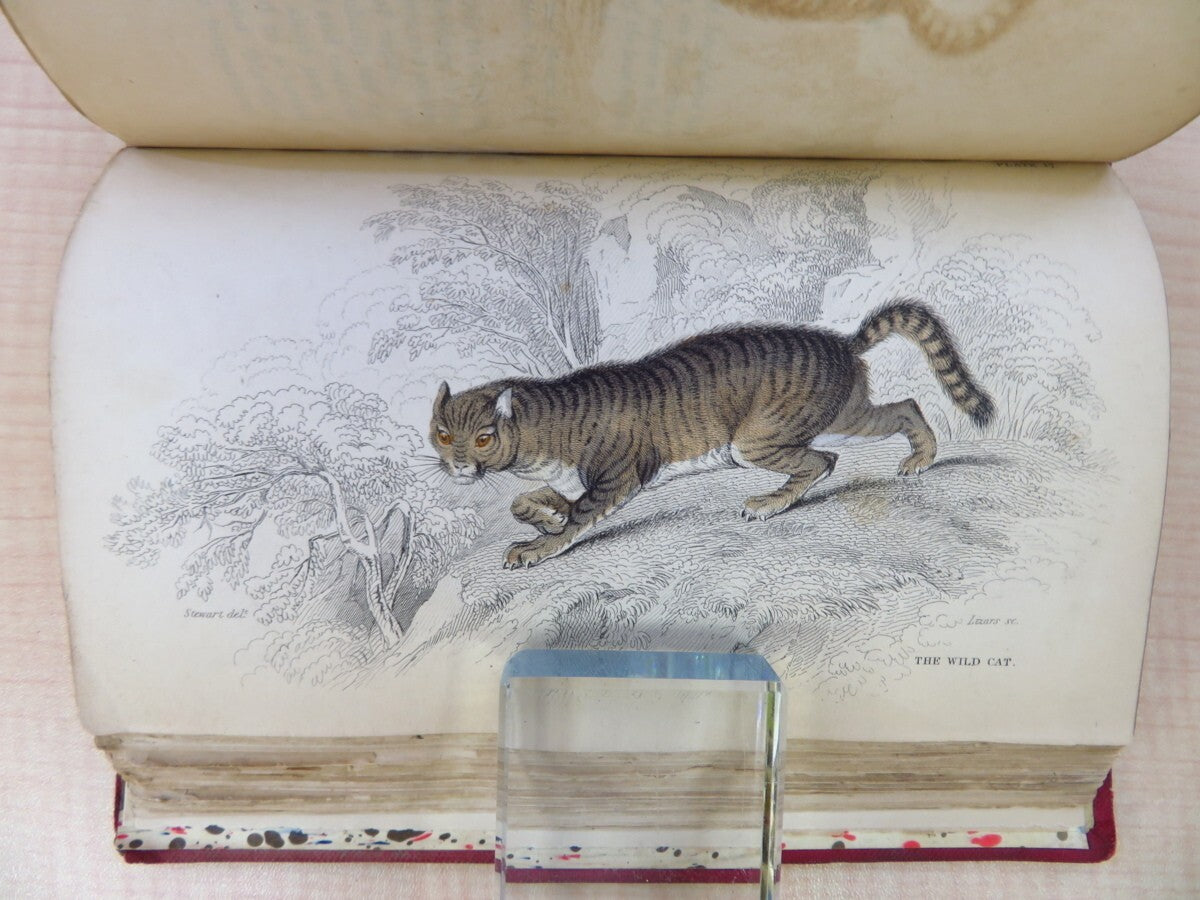 William Jardine The Naturalist'S Library. Vol Xvii. Mammalia: British Quadrupeds