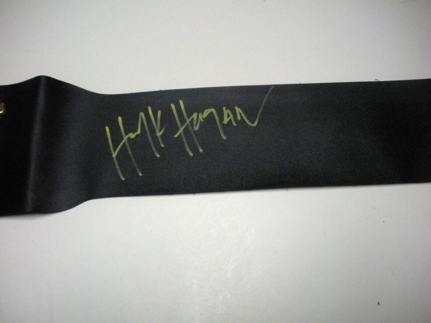Hulk Hogan Brother,The Hulkster Last One