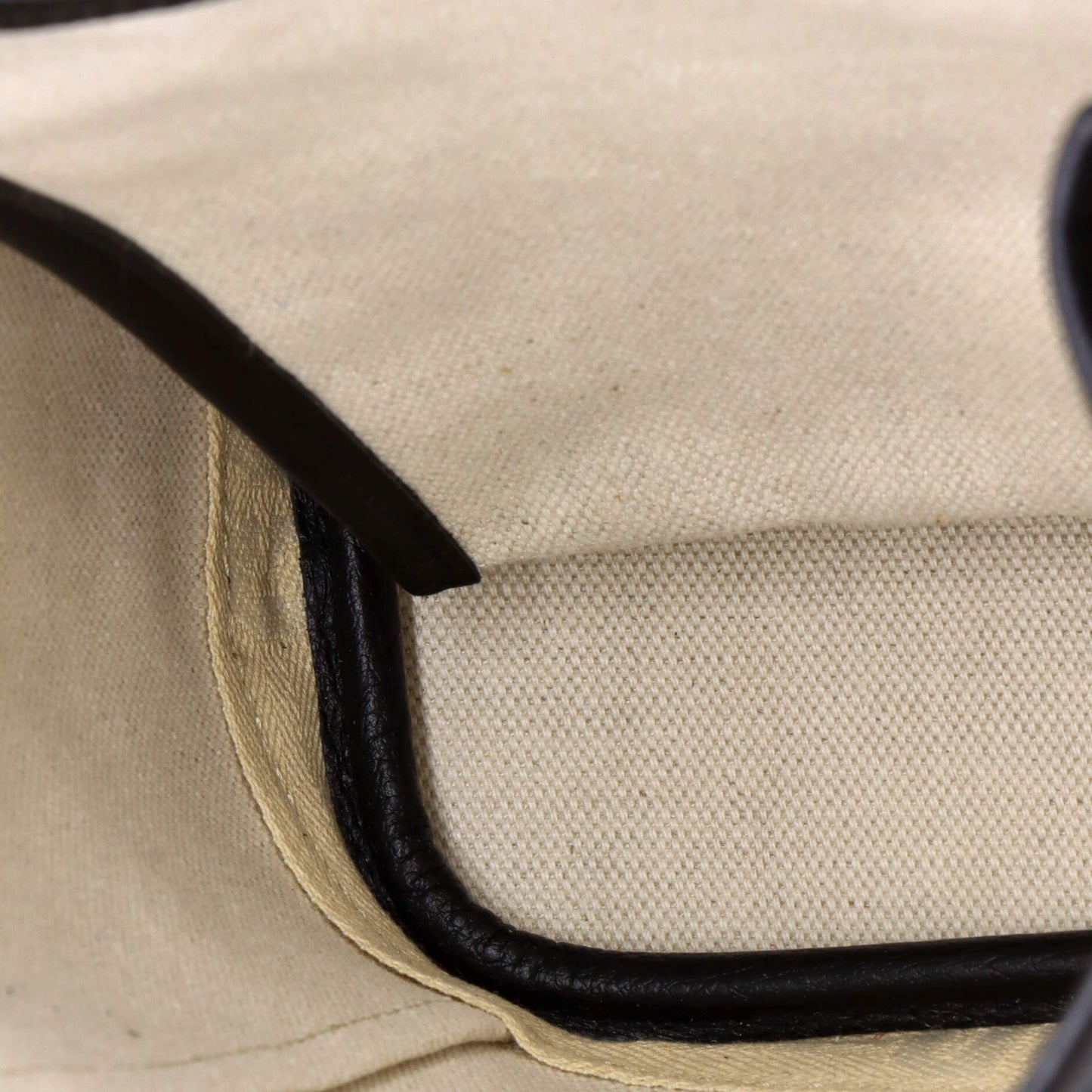 Goyard Alpin Backpack Coated Canvas Mini