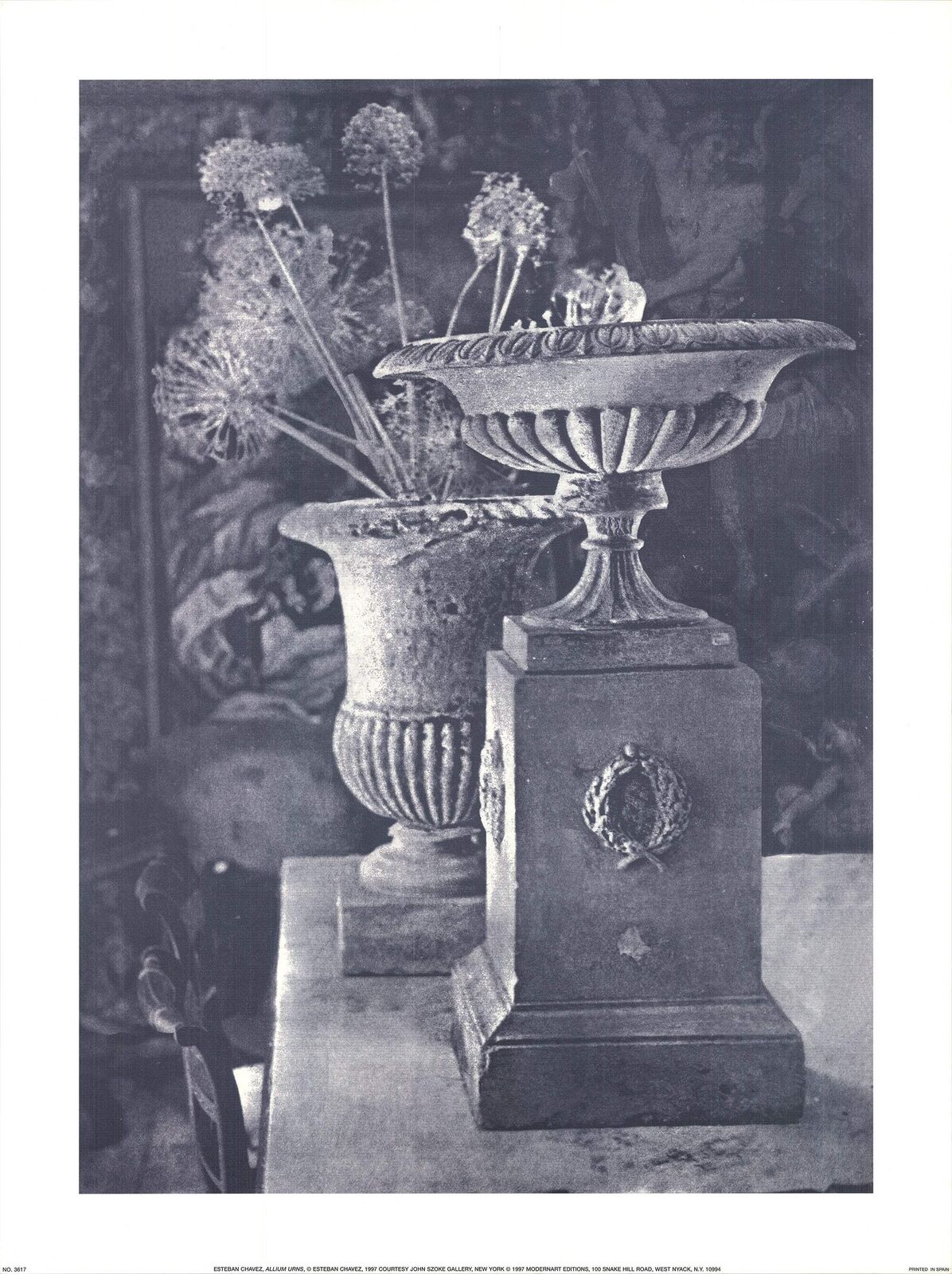 Esteban Chavez Allium Urns " Offset Lithograph Photography Black &