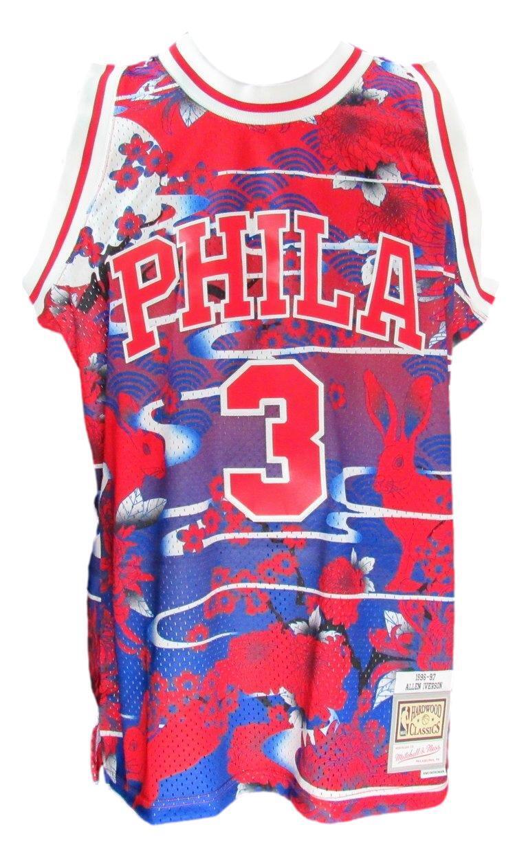 Allen Iverson Hof Autographed Lunar Mitchell &