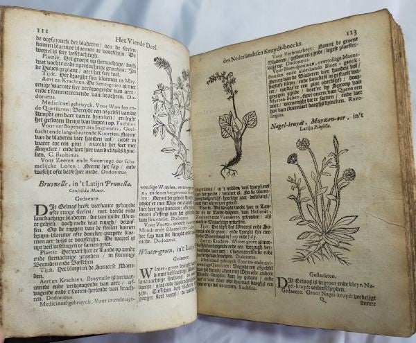 Petrus Nylandt De Nederlandtse Herbarius Kruydt-Boeck 1682 Dutch Herbal With Woo