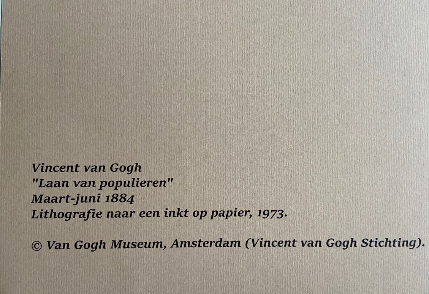 Vincent Van Gogh Museum Lithograph From A Painting Coa Signed Op Edvard Munch