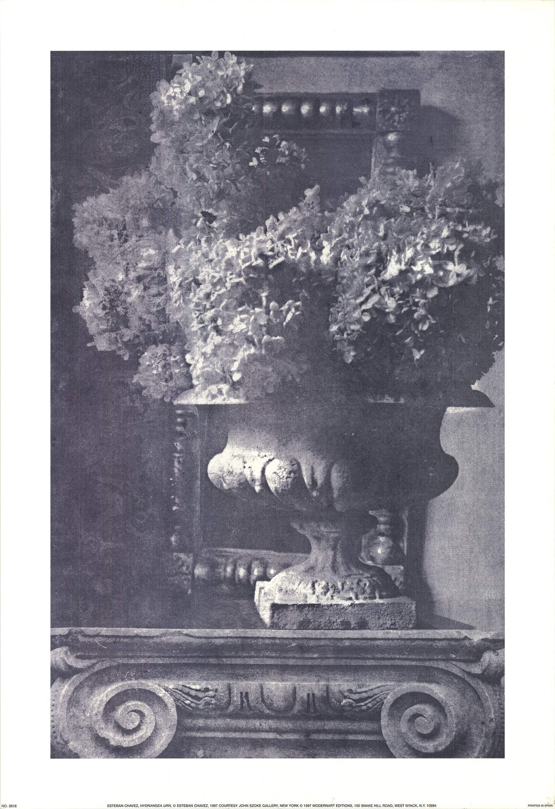 Esteban Chavez Hydrangea Urn " Offset Lithograph Photography Black