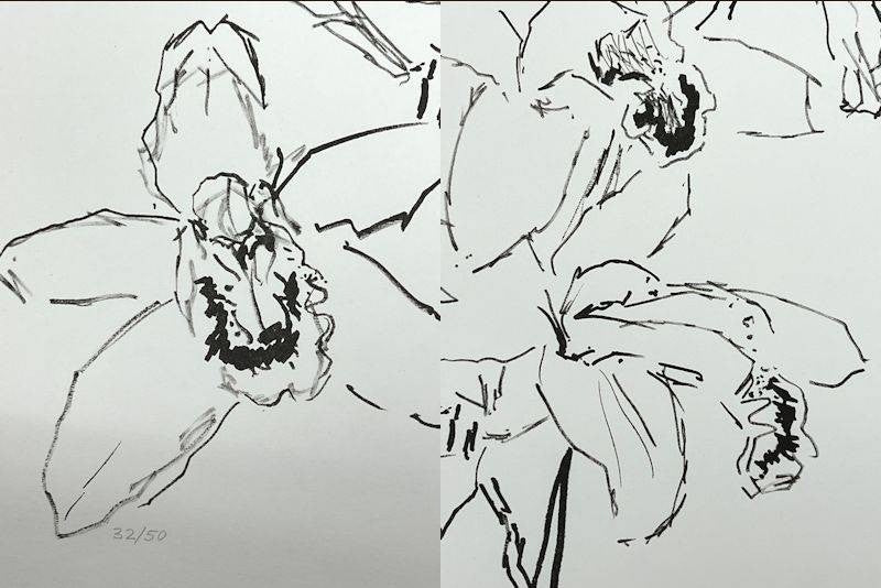 Oskar Kokoschka Original Lithograph "Orchid" 1970S Signed & Numbered 32/50 Frame